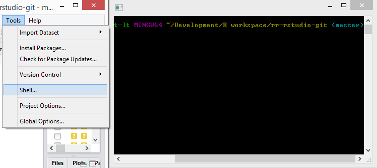Figure 2: RStudio: Git Shell