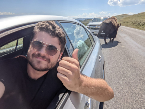 Buffalo Selfie