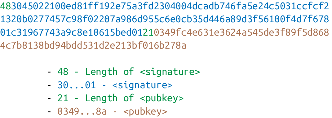 P2PKH ScriptSig