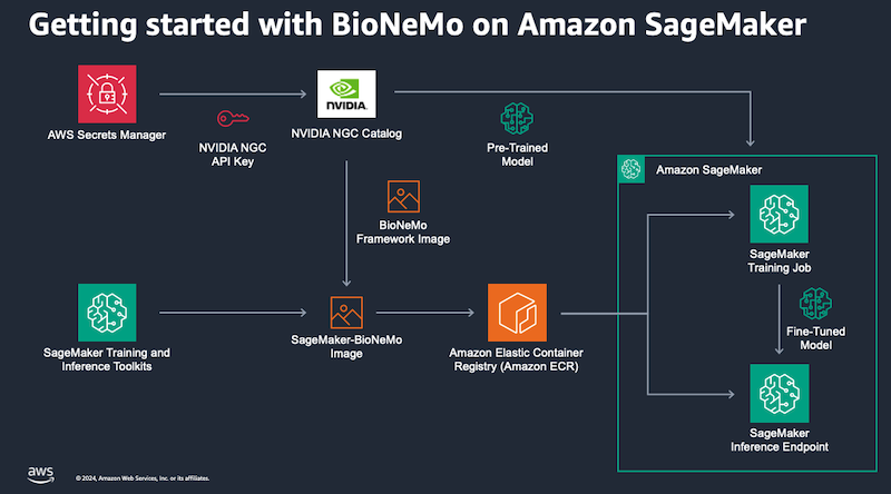 Solution architecture for running BioNeMo training and inference on Amazon SageMaker