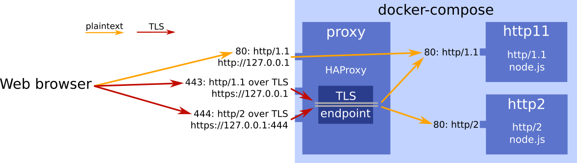 Topology