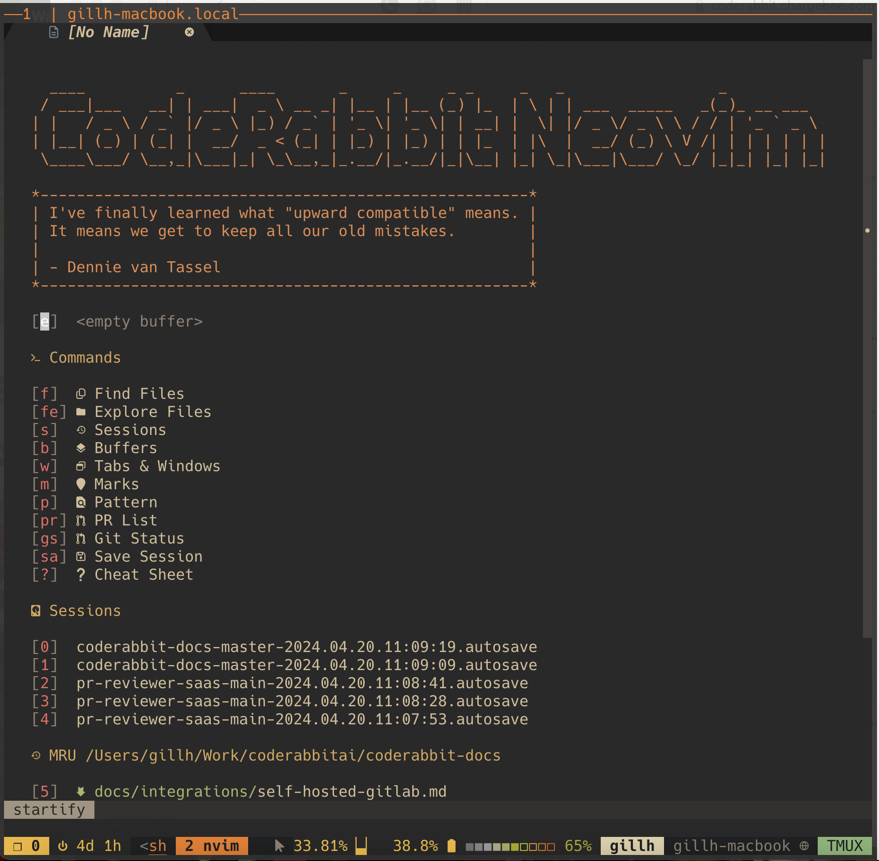 CodeRabbit Neovim