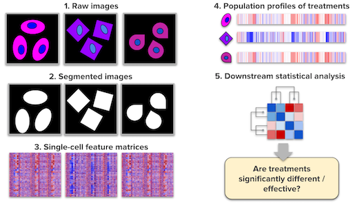 Profiling