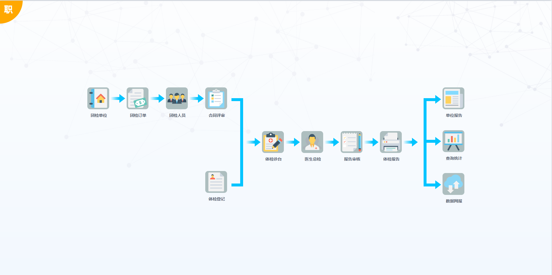 体检流程图