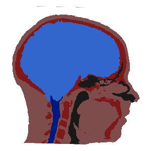 base mask