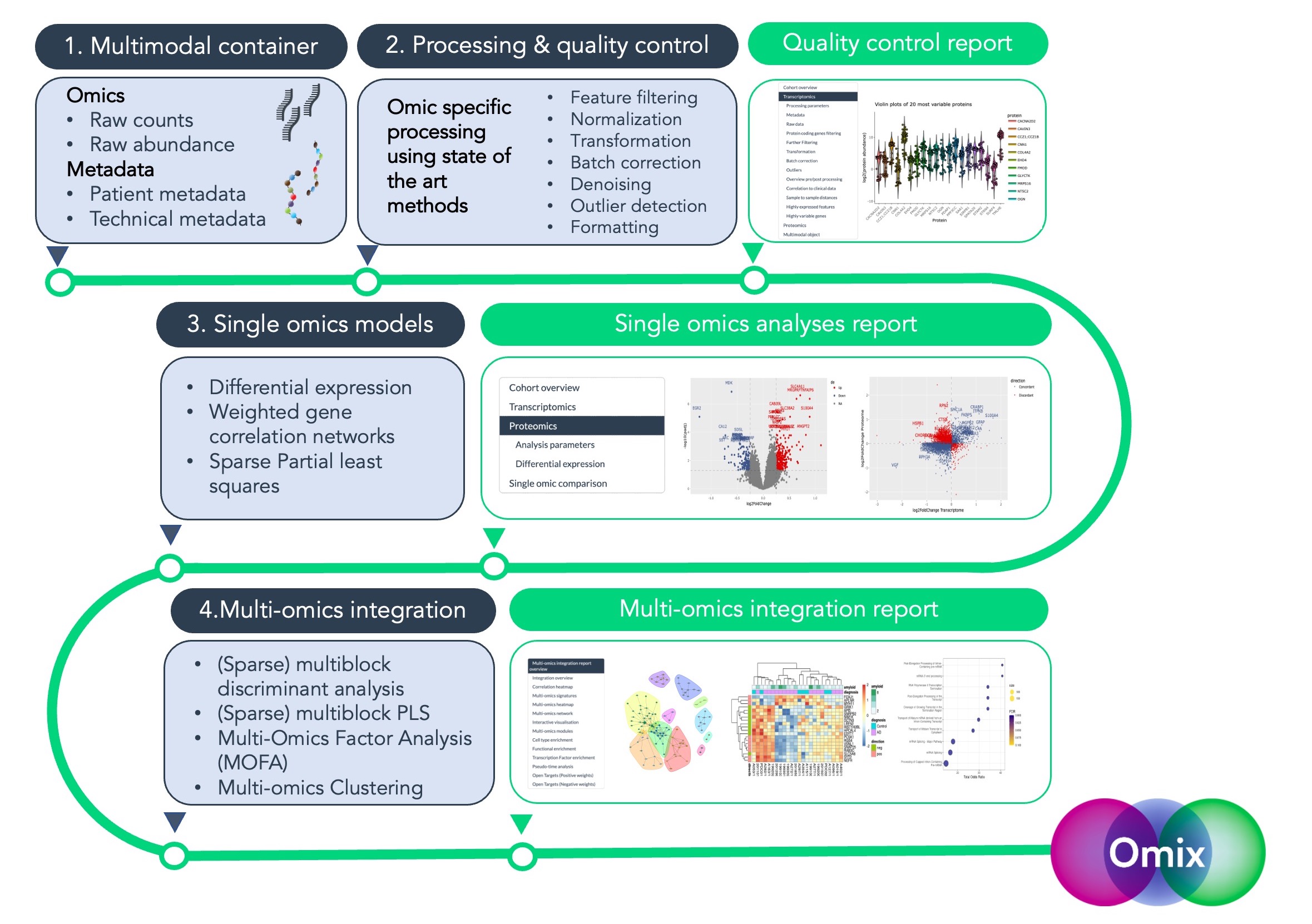 Figure 1: Omix pipeline