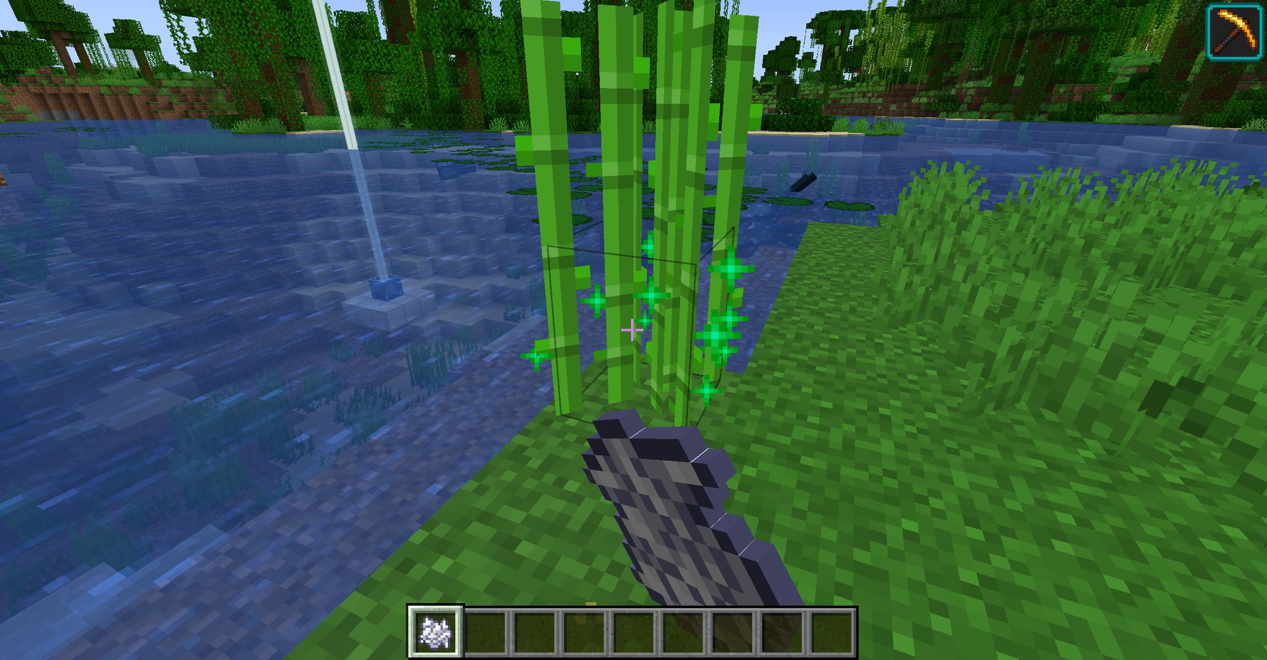 Player using bonemeal on sugar cane to grow sugar cane