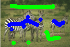 zebra