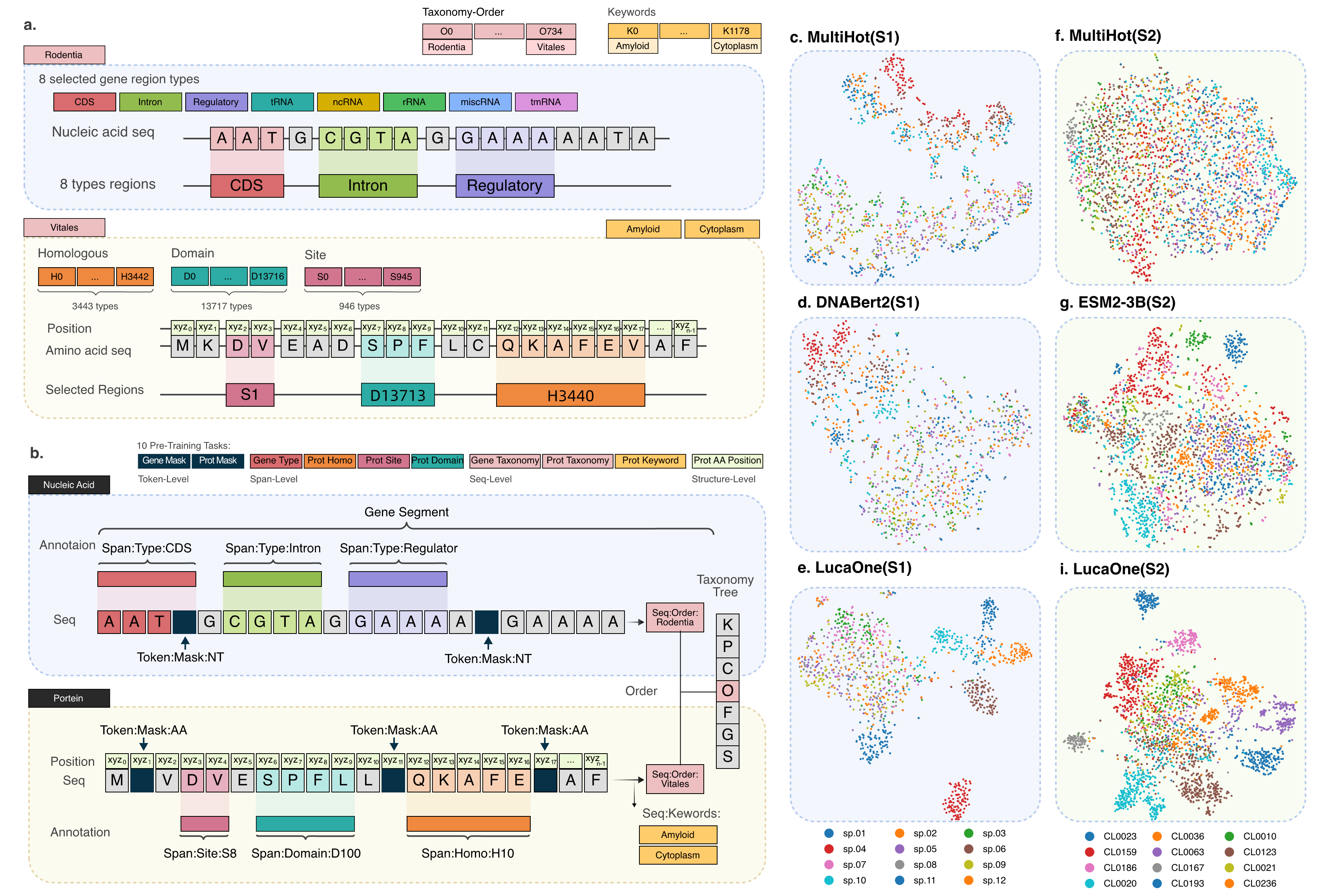 The data and tasks for pre-training LucaOne, and T-SNE on four embedding models.