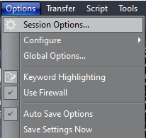 Session Options