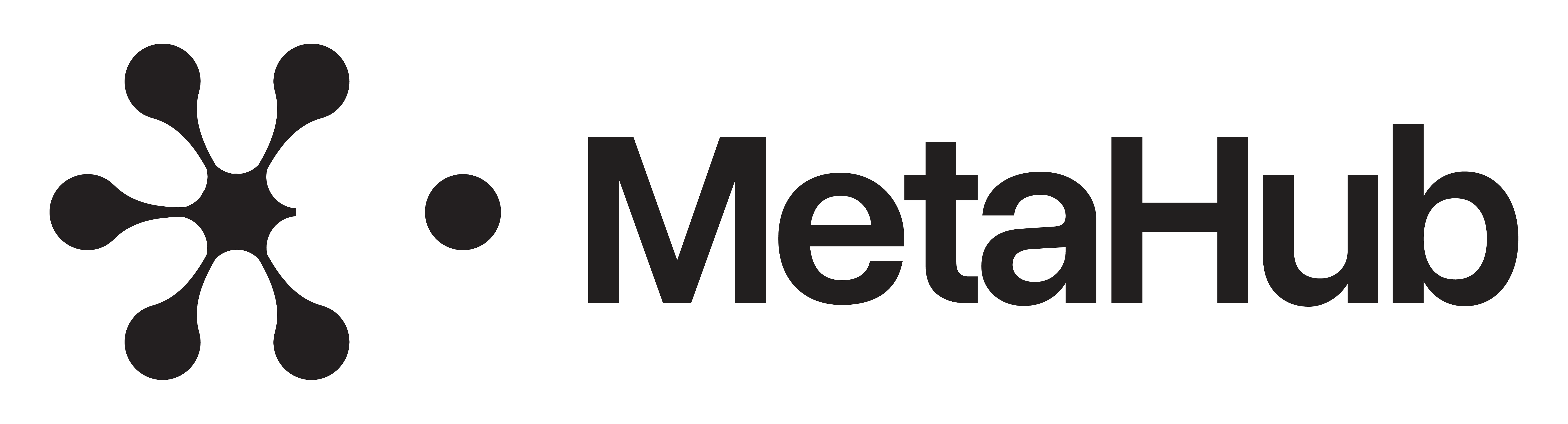 MetaHub