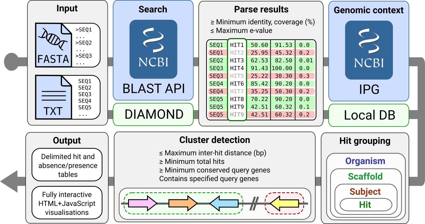 cblaster search workflow