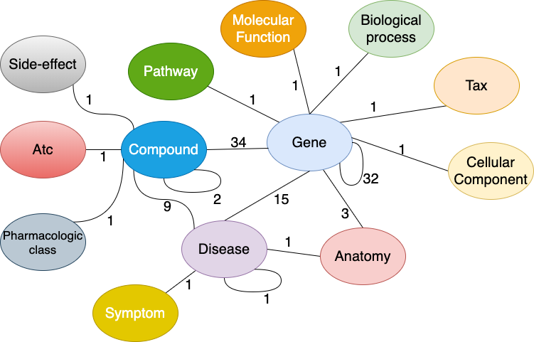 DRKG schema