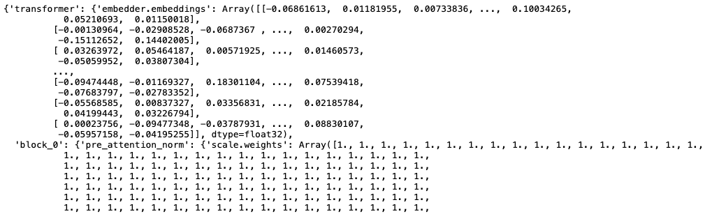 Screenshot of a parameter dictionary without Treescope