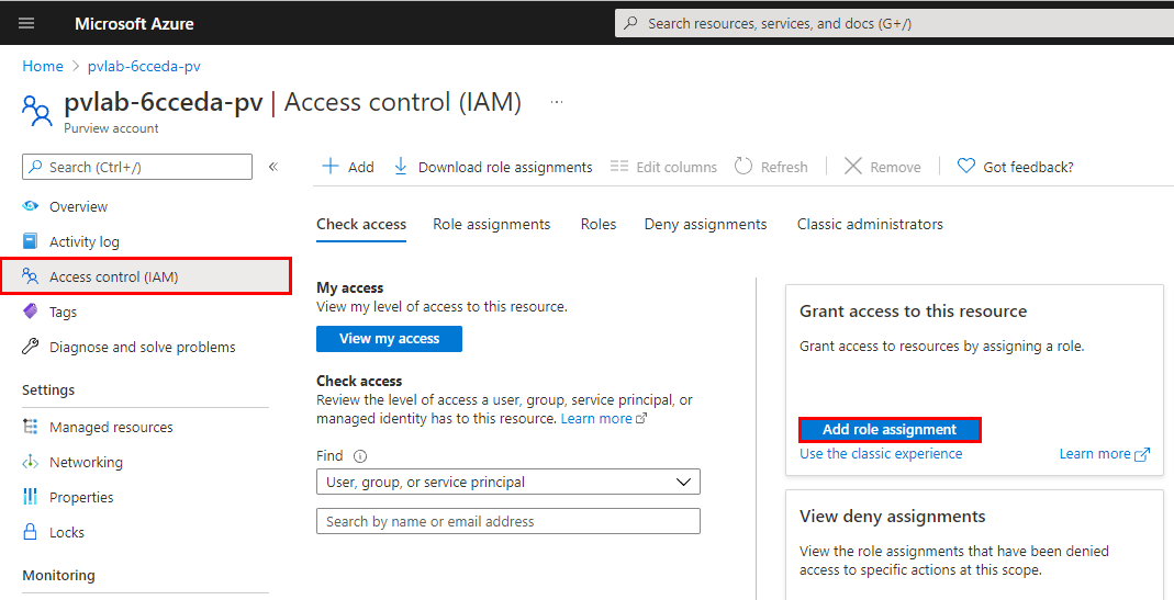 Azure Purview Access Control