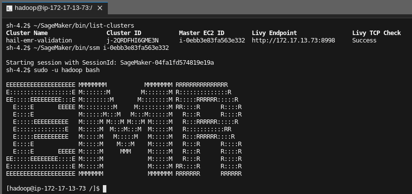 sagemaker-ssm-example