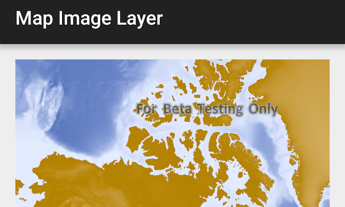 ArcGIS Map Image Layer App