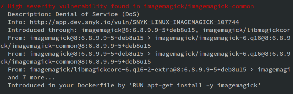 User-introduced / Dockerfile vulnerability screenshot