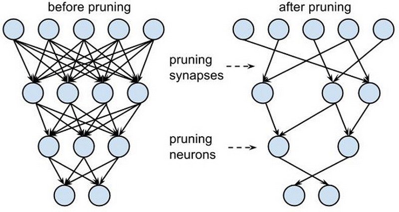 Pruning