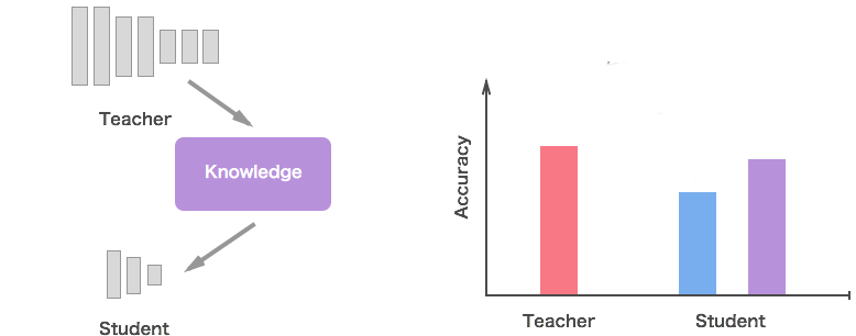 Knowledge distillation