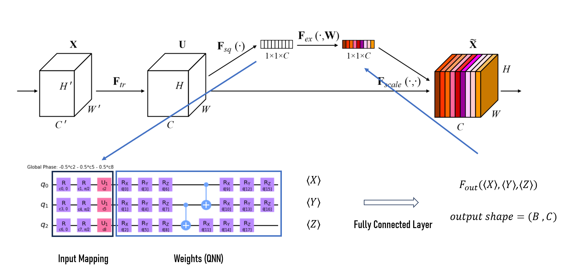 Quantumlized SE Layer