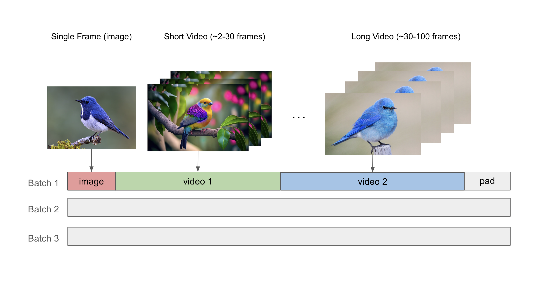 Mixed image-video dataloading strategy