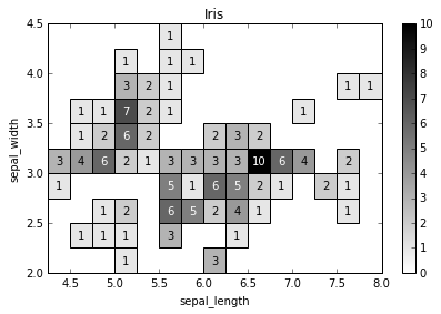 Iris 2D plot