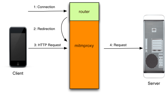 schematics/how-mitmproxy-works-transparent.png