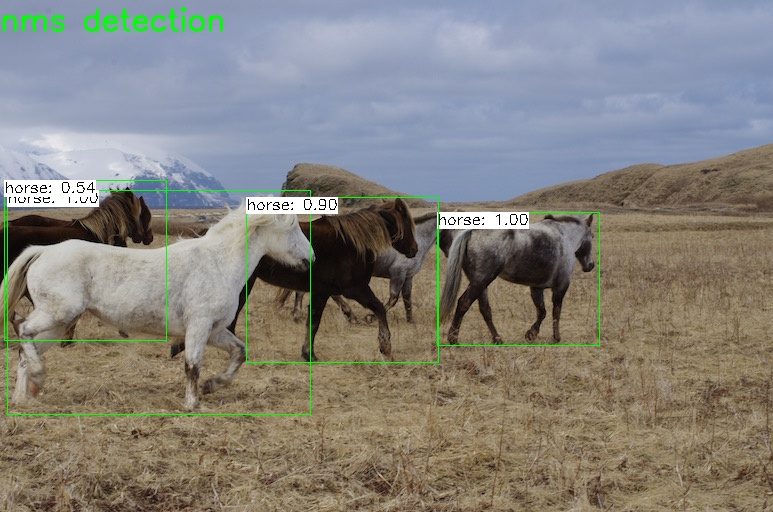 detection result