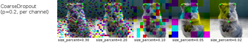 CoarseDropout p=0.2, per channel