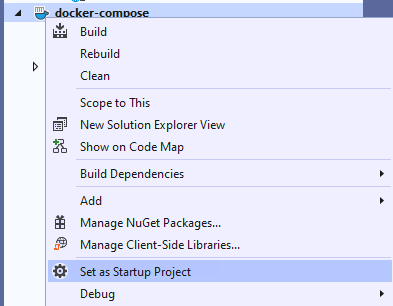 Set Docker Compose as StartUp project