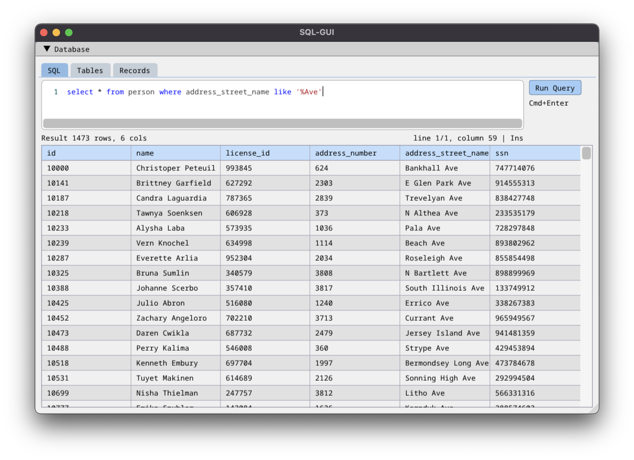 Screenshot of SQL query interface