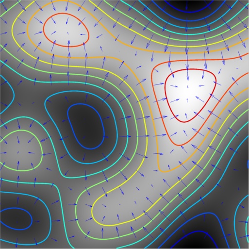 Image of Perlin Gradient Field