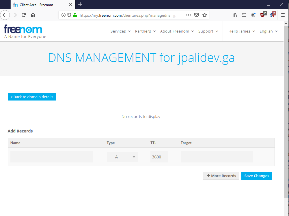 Freenom no DNS records