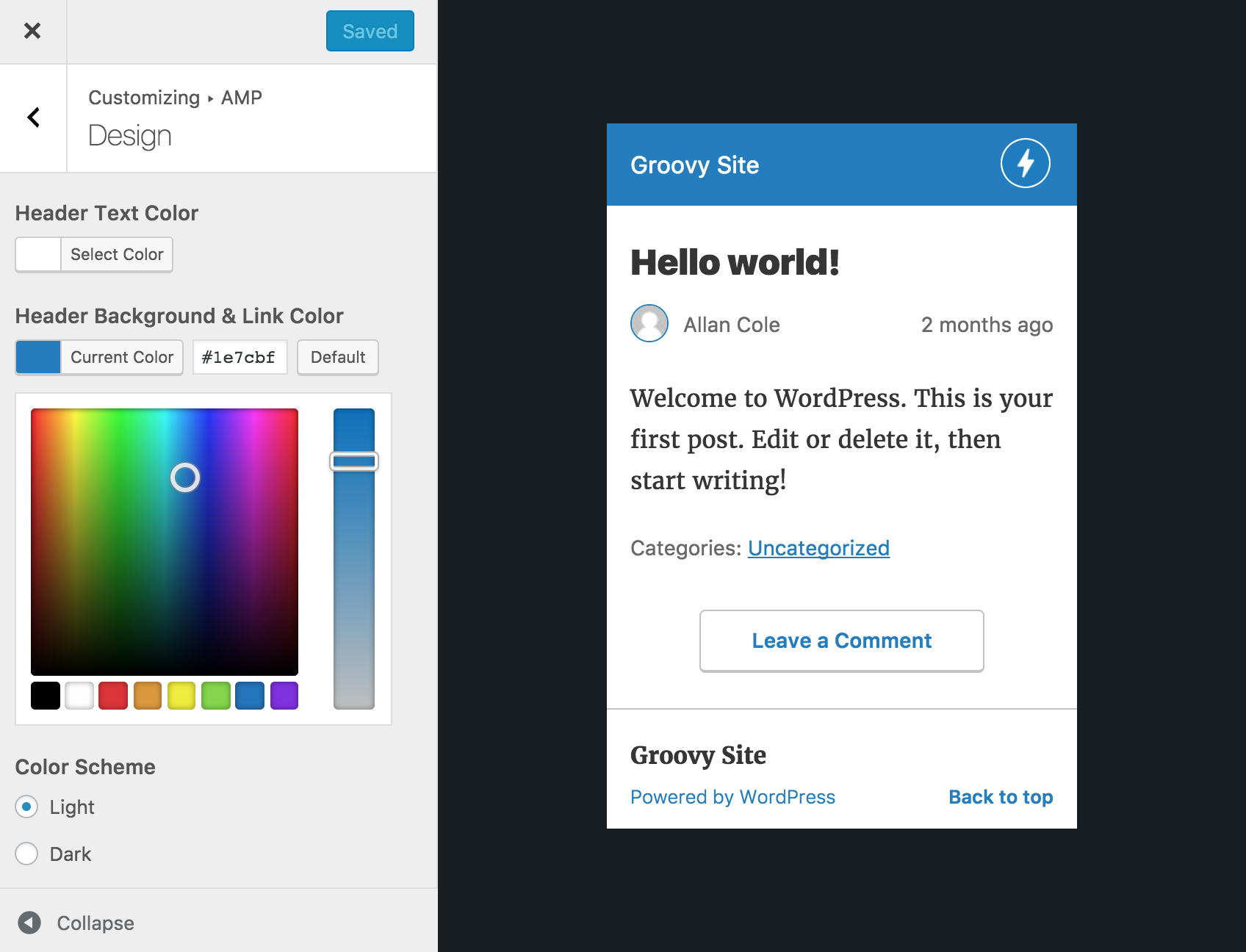 Customizing appearance of AMP template.