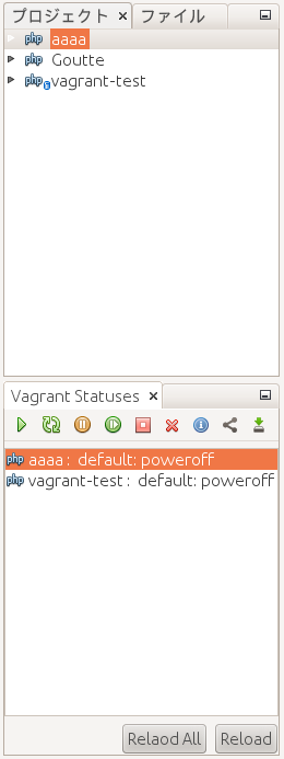 Vagrant statuses