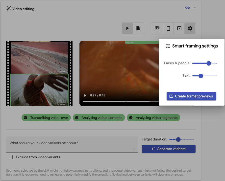 Vigenair UI: Video format preview settings