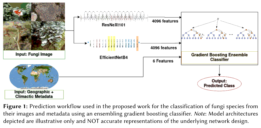 proposed-prediction-workflow