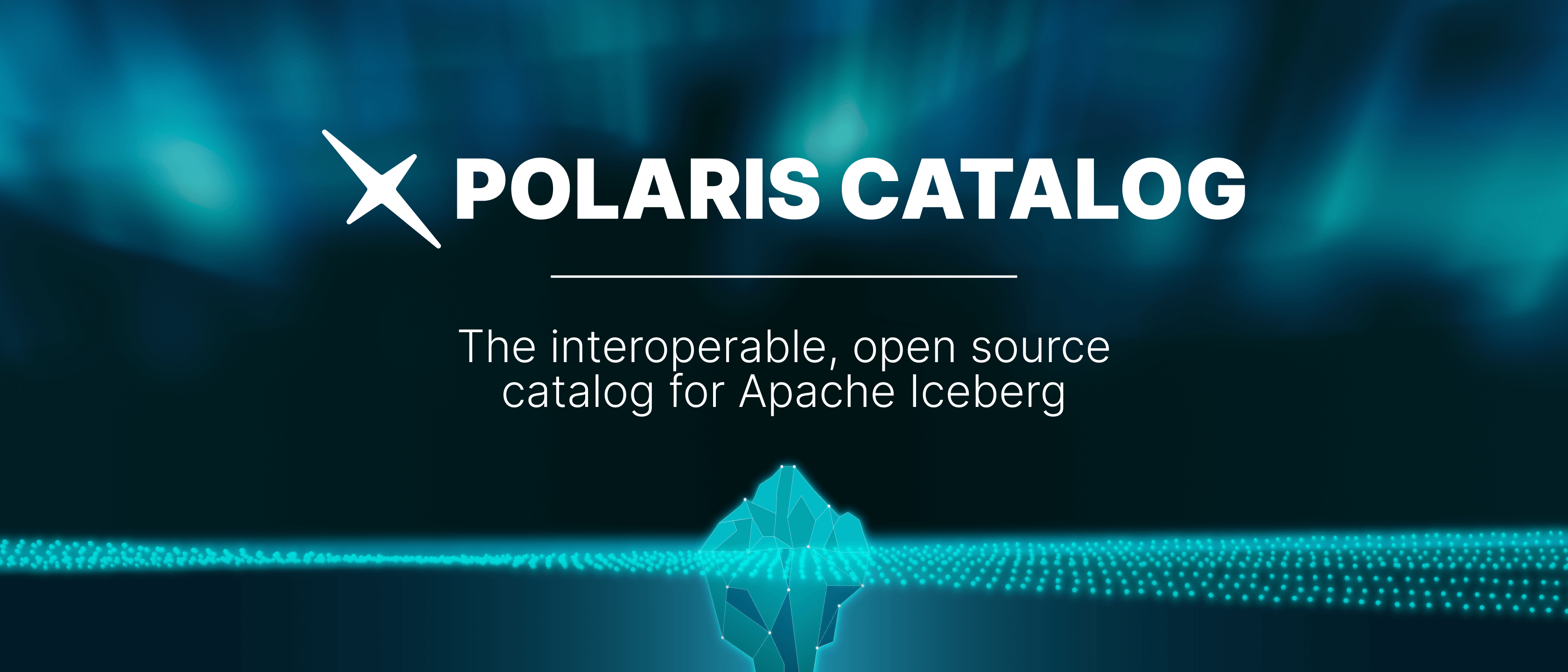 Polaris Catalog Header