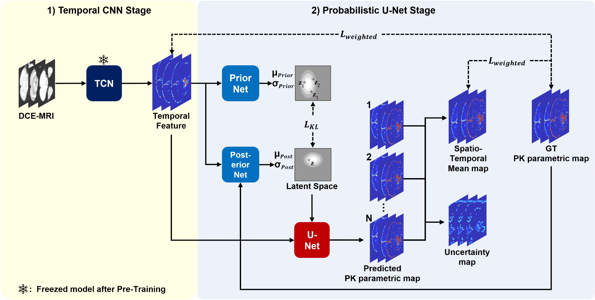 Model's architecture