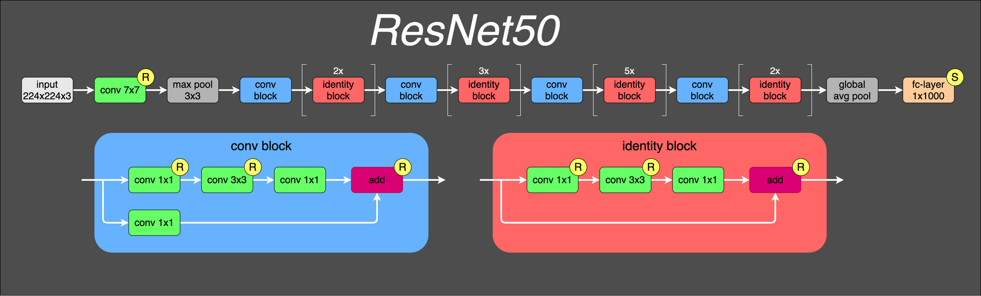 ResNet50 图像