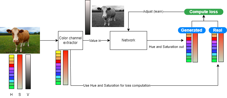 Diagram of the training process