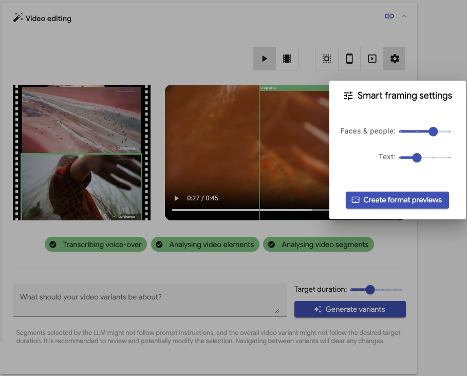 Vigenair UI: Video format preview settings