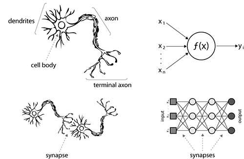 ai-neural-network