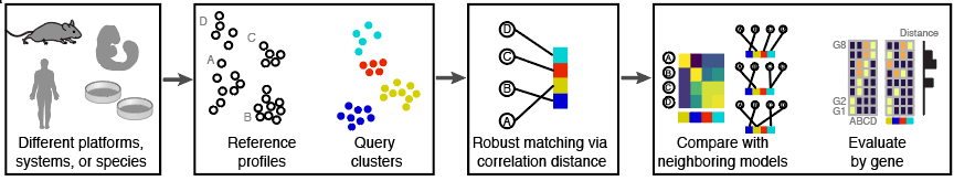 cellmatch methodology