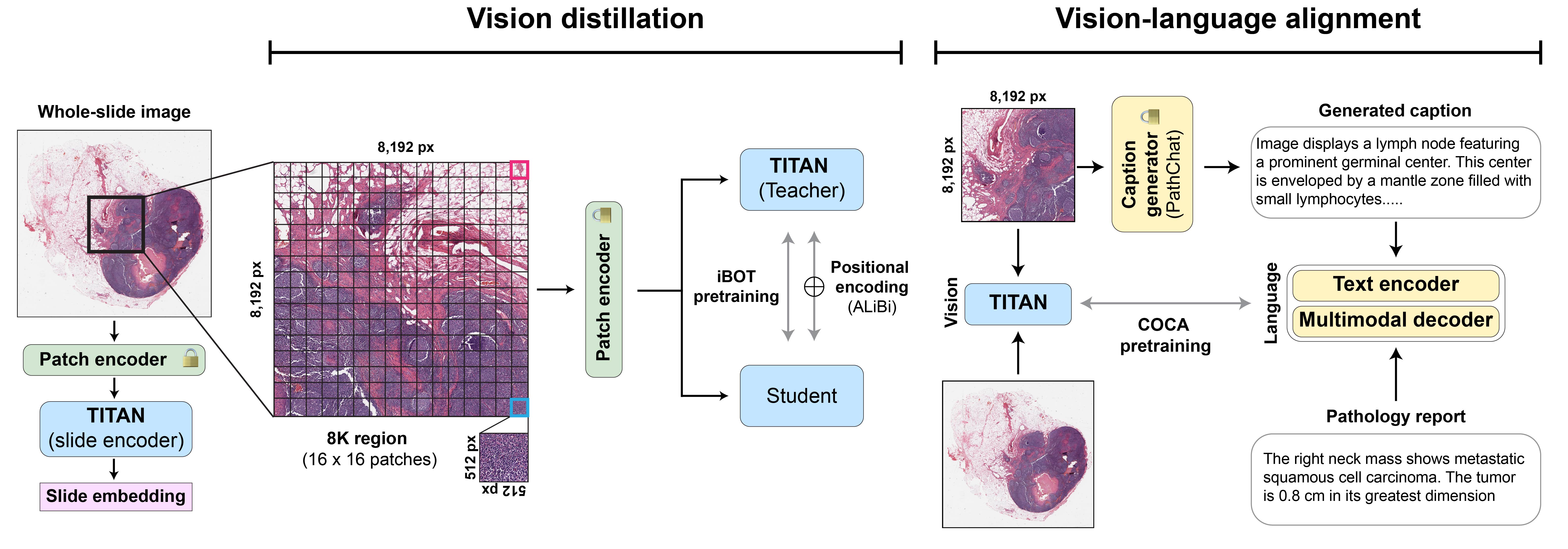 TITAN workflow