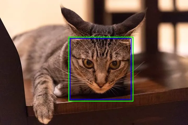 Cat face detection