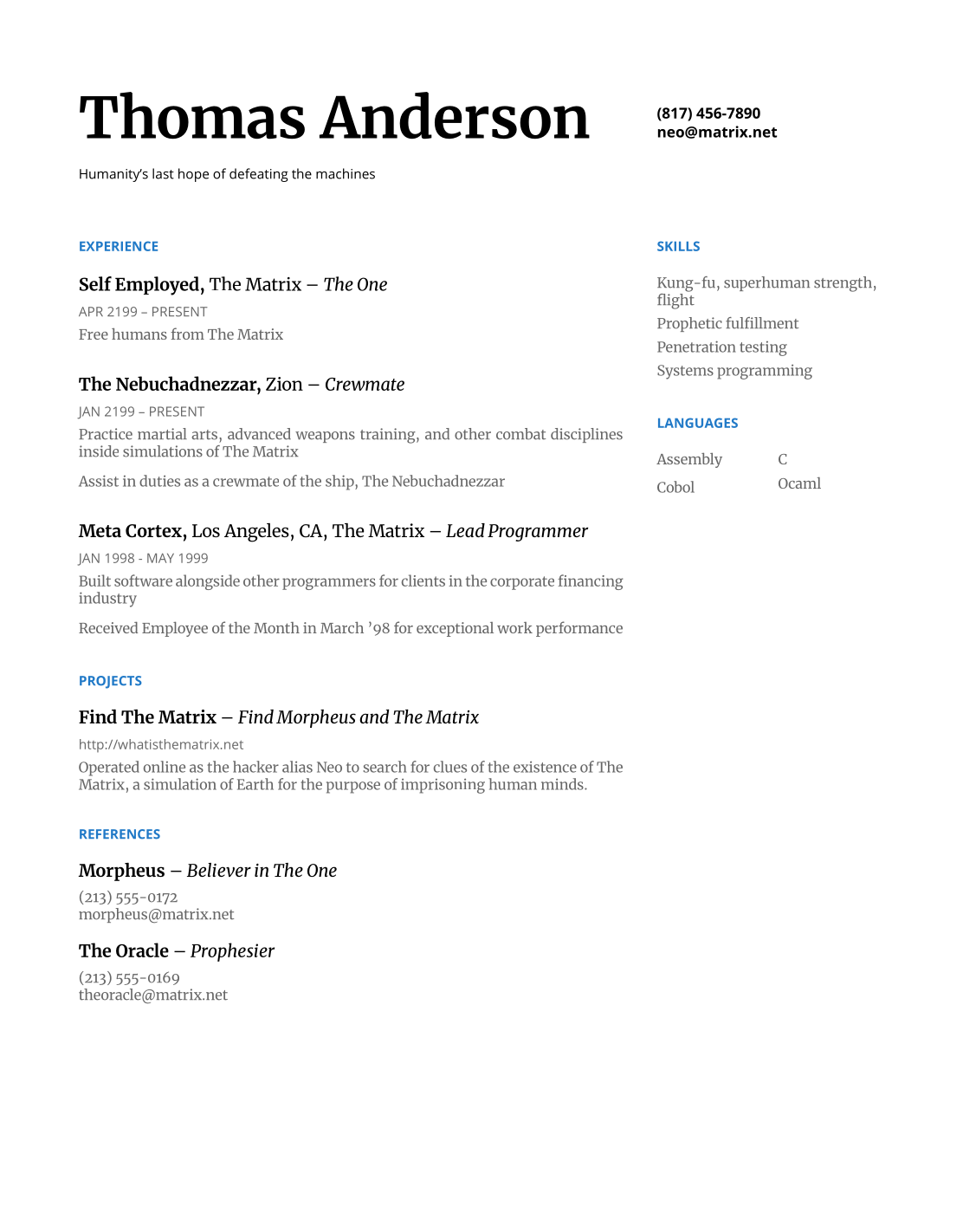 An example resume