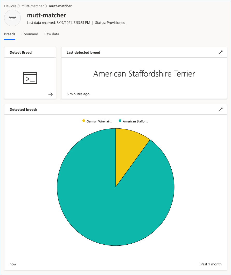 An application dashboard showing the last detected breed as a German wire pointer, as well as a pie chart of detected breeds