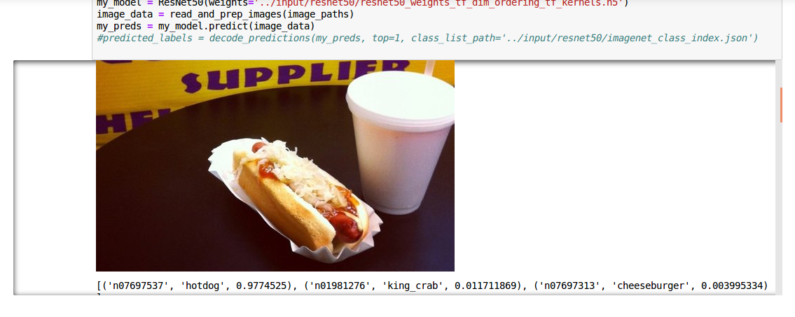 ./hotdog1.png